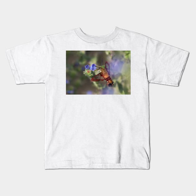 Hummingbird Clearwing Moth Kids T-Shirt by Jim Cumming